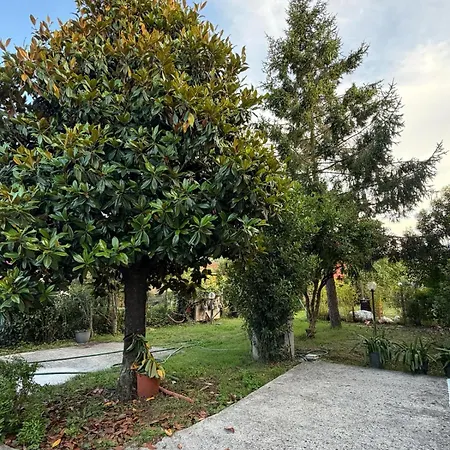 Apartament Da Francesca Guestrooms - Patrica